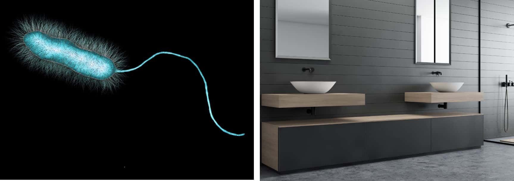 Ein geteiltes Bild mit der Nahaufnahme eines Bakteriums auf der linken Seite und einem modernen, minimalistischen Badezimmer auf der rechten Seite, das veranschaulicht, wie fortschrittliche Spülverfahren für Hygiene sorgen, indem sie mikroskopische Bedrohungen wirksam eliminieren.