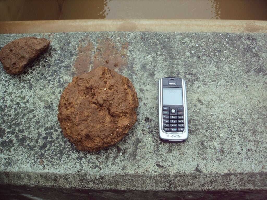 Grobpartikel Austrag aus Trinkwasserleitungen