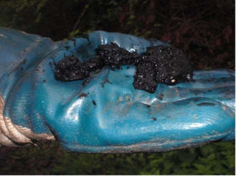 Eine blau behandschuhte Hand hält mehrere Stücke einer schwarzen, teerartigen Substanz, die an Grobpartikel und Späne erinnert und austrägt.